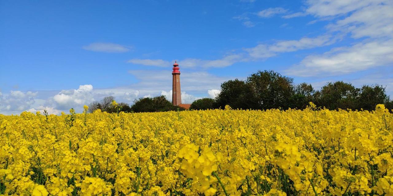 Sunny * Fehmarn